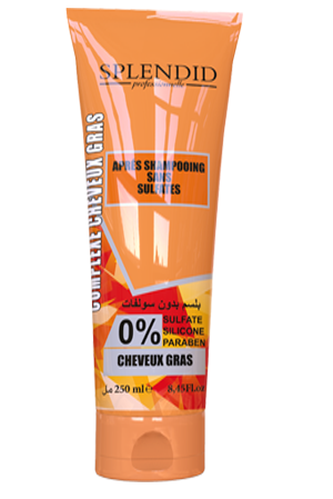 Après Shampooing Sans Sulfates Cheveux Gras